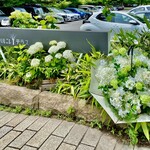 MORIASOBI - 紫陽花と傘のシーズンのハルニレテラス