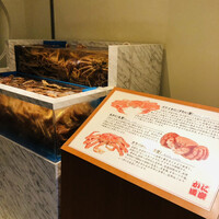 かに道楽 銀座八丁目店 - 