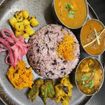 Curry Spice Gelateria KALPASI - 