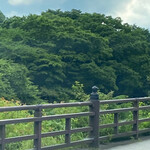 朝日屋 - 緑が気持ちいい❣️