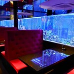 新宿 アクアリウムダイニング JeMare - 