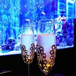新宿 アクアリウムダイニング JeMare - 