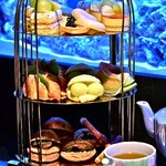 新宿 アクアリウムダイニング JeMare - 