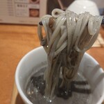 プラチナウドン 稲庭手業うどん アキタ - 