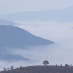 やま康 - 時期によっては幻想的な雲海が広がります