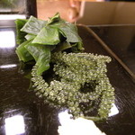 寿司 もり田 - 海ぶどう、若芽