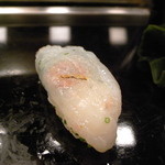 寿司 もり田 - 河豚