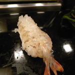 寿司 もり田 - 車海老の踊り