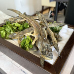 プレゼンテ スギ - 