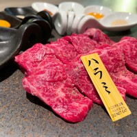 niku no OTO - niku no OTO ロイヤルコース9000円
                    飲めるハラミ 4種のタレと共に