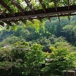 ベーカリー＆テーブル 東府や 足湯カフェ - 藤が咲いたら綺麗だろうな～