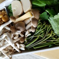 比良山荘 - キノコはマシマシ(笑)