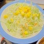 Matsuya - マッサマンカレーライス大野菜セット(サラダ)