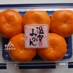 肉のハナマサ - ハウスみかん　842円