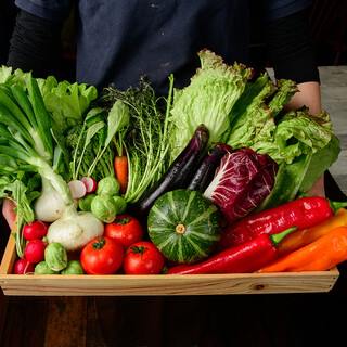 Kamakura vegetables delivered directly from the farm