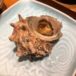 Seafood Yashu Ryouri Fuukou - 海螺