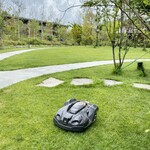 日本料理 新樹 - お庭を動き回っていた芝刈ロボット