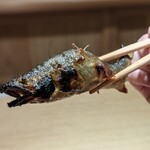 富小路 やま岸 - 