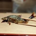 富小路 やま岸 - 