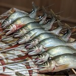 富小路 やま岸 - 