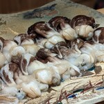 富小路 やま岸 - 