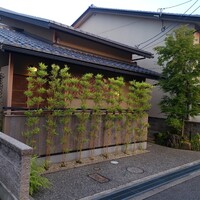 料理 小松 - 