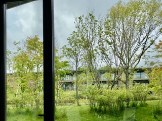 Japanese cuisine Shinju