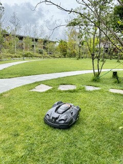 Japanese cuisine Shinju - Lawn Mowing Robot Moving Around the Garden