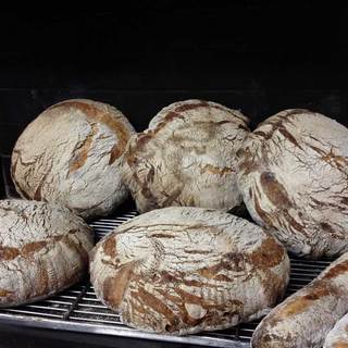 トゥジュール_1