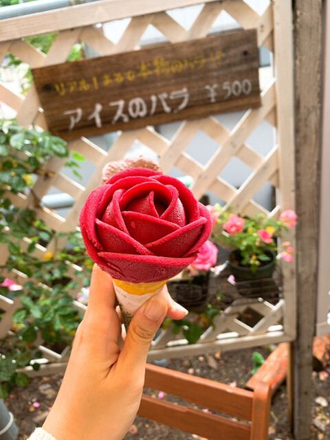 ローズガーデンカフェ Rose Garden Cafe あつみ温泉 カフェ 食べログ ローズガーデンカフェ Rose Garden Cafe あつみ温泉 カフェ 食べログ
