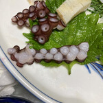 あさひ荘 - 吸盤のみ