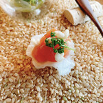 NIKI Hills ワイナリー  - 