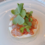 NIKI Hills ワイナリー  - 