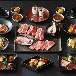 プレミアムコース 焼肉トラジ トレーニングセンター店 有楽町 焼肉 食べログ