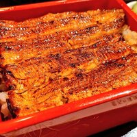 満寿家 - うな重特上