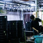 うなぎの中庄 - 