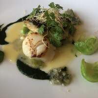 フレンチ ベイ・ビュー -  フレンチ ベイ・ビュー -