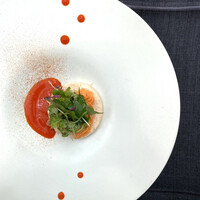 TRATTORIA CREATTA - 