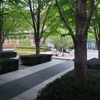 日本料理 京都 華暦 - 