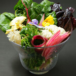 しゃぶしゃぶ 将泰庵 - 野菜の盛り合わせ（追加メニュー）