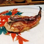 鮓 きずな - めひかり