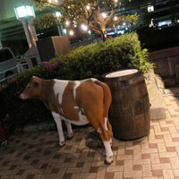 Yakiniku BarBies - 