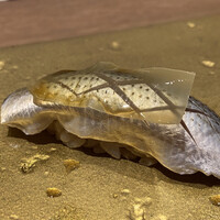 浜松町 鮨 すし門 - 