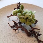 レストラン・モリエール - 