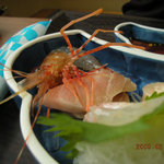 ダイマル大谷会館 - 下半身が剥き身なのに脱出を図ろうとする牡丹海老君（涙）