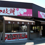 東屋 - 「東屋」さんの外観。菖蒲池の一番奥にあるお店です。