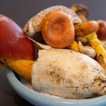 プレゼンテ スギ - 2021.6 夏キノコ（タマゴタケ、ムラサキヤマドリタケ、ヤマドリタケ）