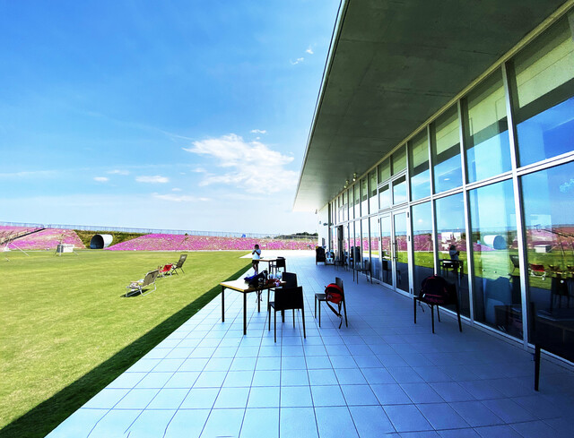 シンチレモネードスタンド（SHINCHI LEMONADE STAND） - 新地（カフェ）の写真