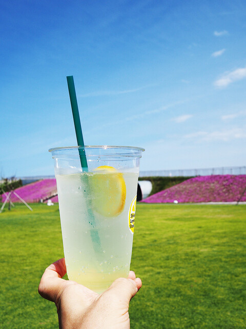 シンチレモネードスタンド（新地） &ndash; 福島の爽やかレモネードカフェ