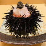 鮨 由う - ・殻付き三陸産キタムラサキウニ、富山産白えび
      　鮪中落ち 